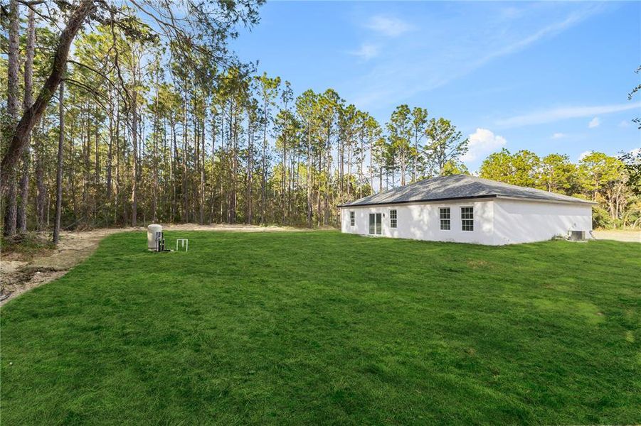 Expansive backyard