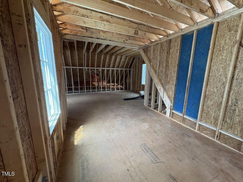 Photo Sep 02 2025, 2 16 38 PM (Medium)