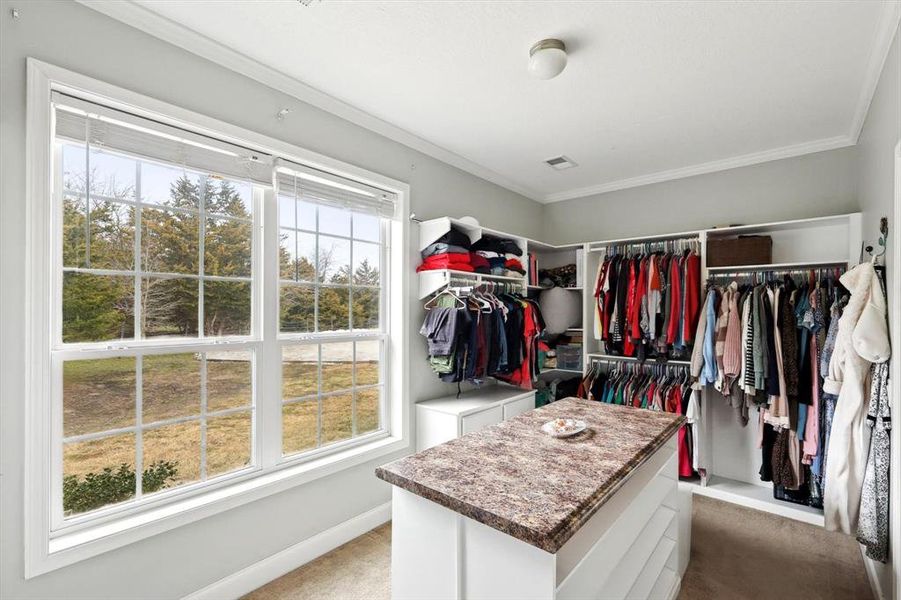 Spacious closet with carpet