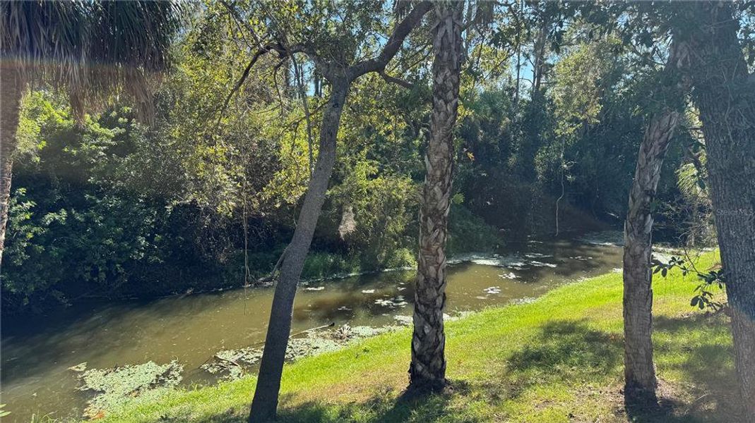 Natural landscape and outdoor views near in North Port (Image 32). Natural landscape and outdoor views near in North Port (Image 32).