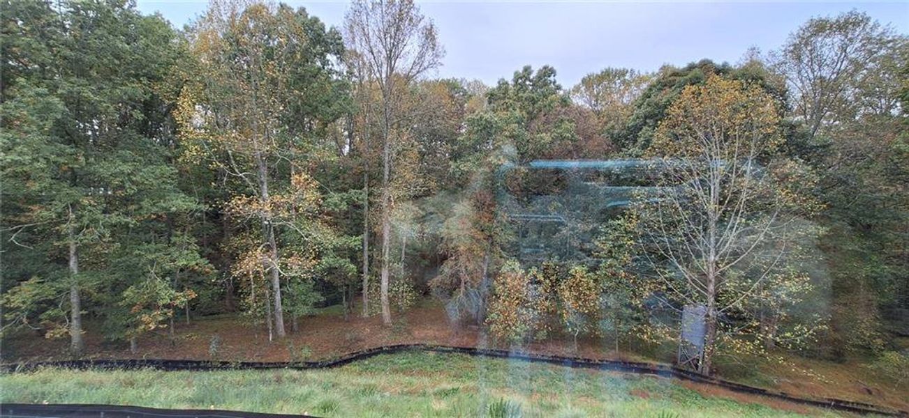 Natural landscape and outdoor views near Villas at Dawsonville in Dawsonville (Image 62).
