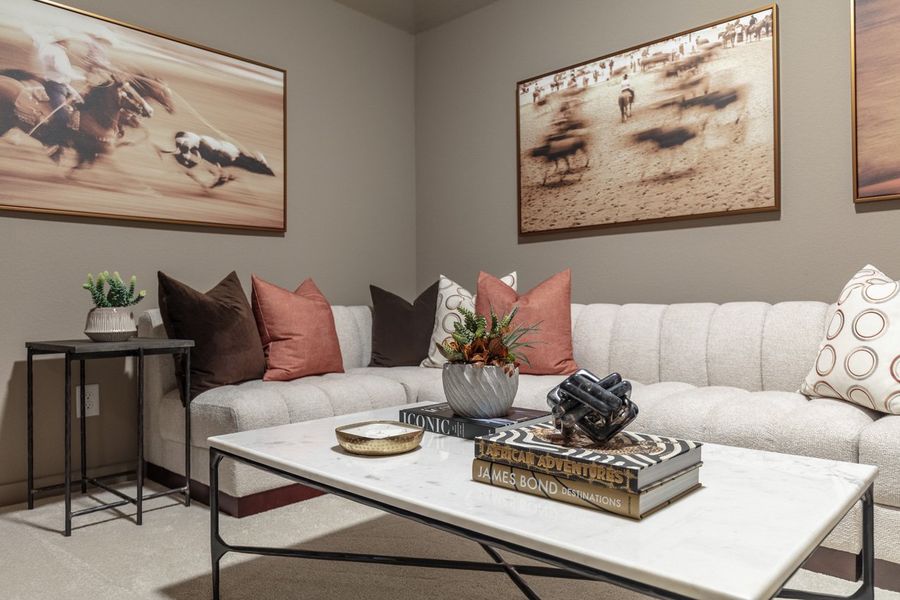 Representative Entertainment Room - some options shown