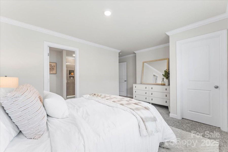 Owner's suite Owner's suite