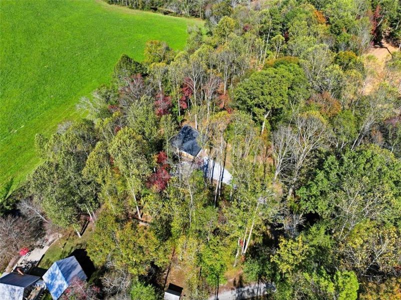 Natural landscape and outdoor views near  in Ellijay (Image 25).