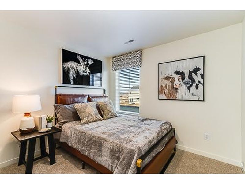 Furnished interior view inside a new home in Prairie Song, Windsor (Image 17).
