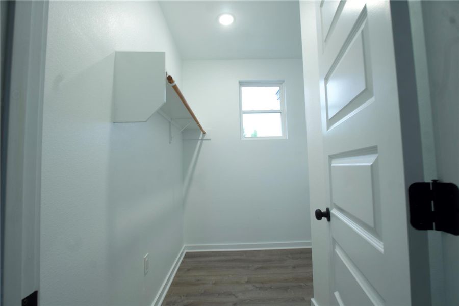 Spacious closet featuring dark wood-style flooring