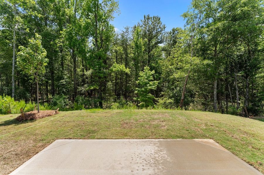 Natural landscape and outdoor views near Braxton Place in Moore (Image 24).
