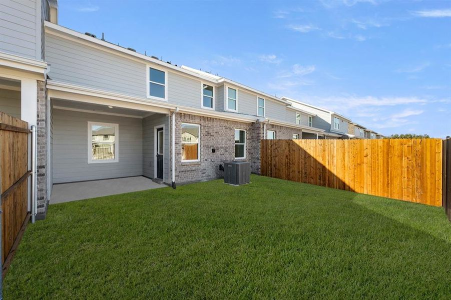 853 Pourtales- Back-1