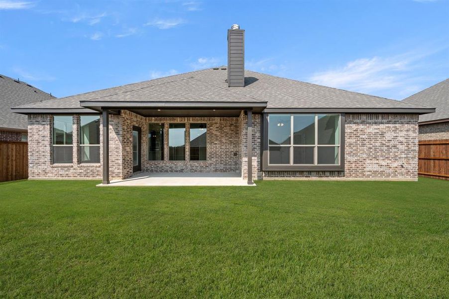 34 Harrier- Back-2 34 Harrier- Back-2