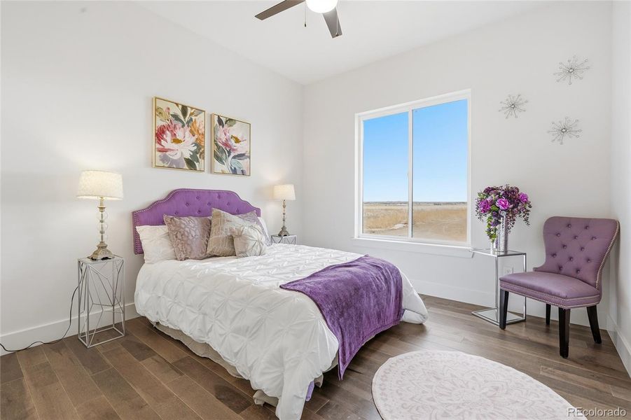 Furnished interior view inside a new home in , Brighton (Image 34).