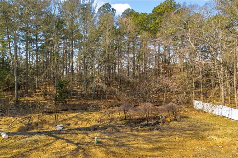 Natural landscape and outdoor views near  in Buford (Image 9).