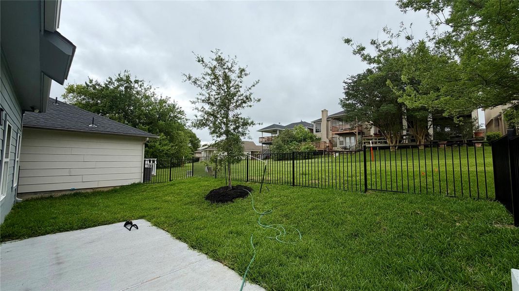 Patio area and back yard