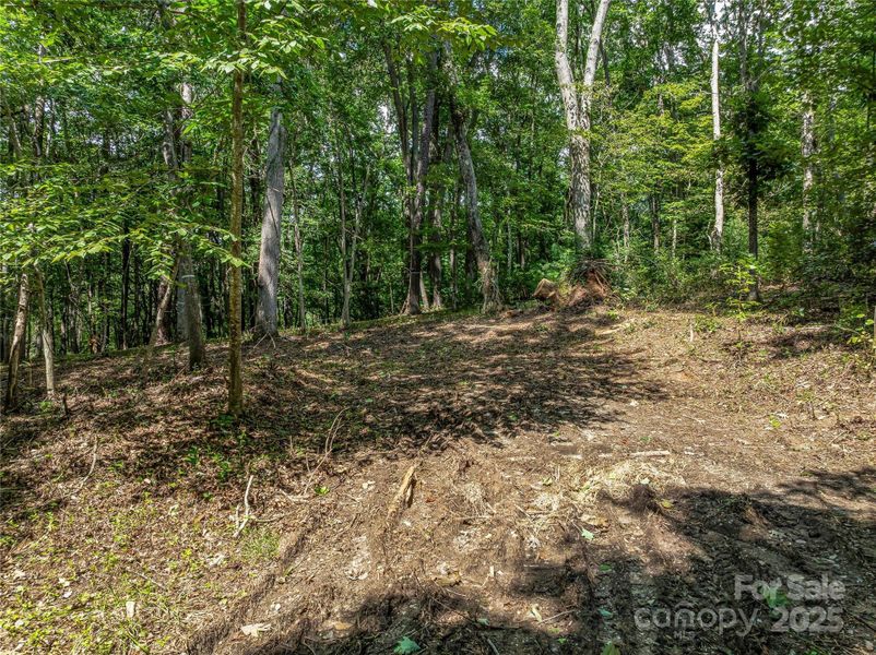 Natural landscape and outdoor views near  in Arden (Image 35).