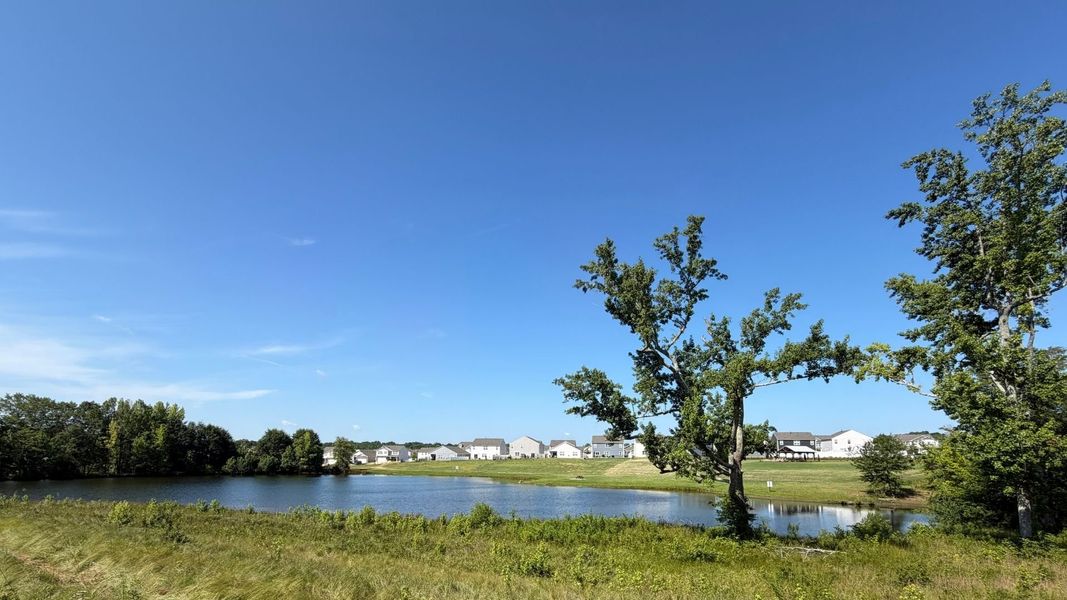 Natural landscape and outdoor views near Durbin Meadows in Fountain Inn (Image 33). Natural landscape and outdoor views near Durbin Meadows in Fountain Inn (Image 33).