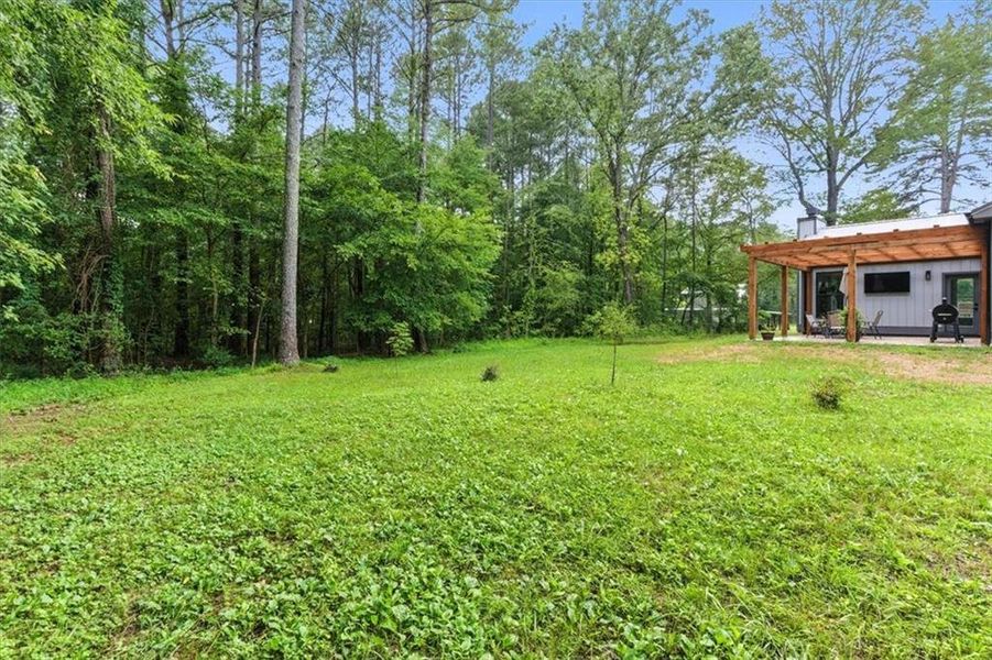 Natural landscape and outdoor views near  in Adairsville (Image 41).