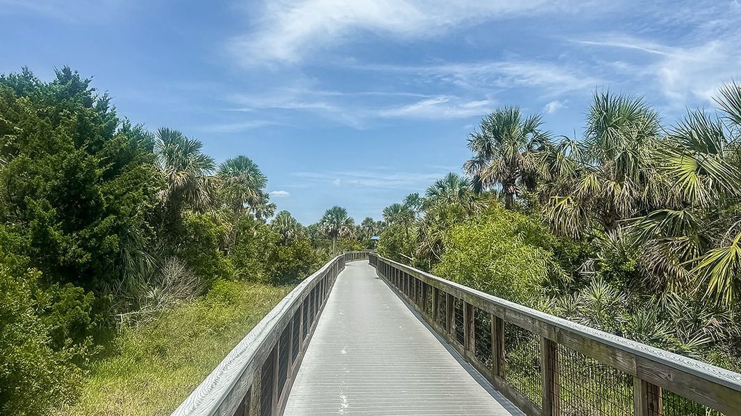 Natural landscape and outdoor views near Ardisia Park in New Smyrna Beach (Image 54). Natural landscape and outdoor views near Ardisia Park in New Smyrna Beach (Image 54).