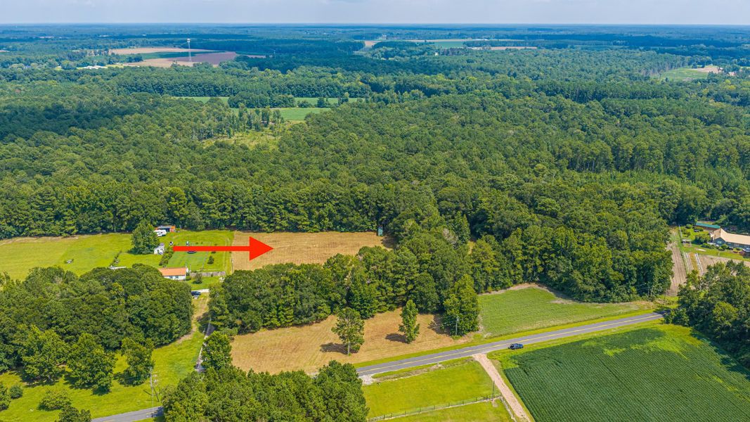 Natural landscape and outdoor views near  in Holly Hill (Image 70).