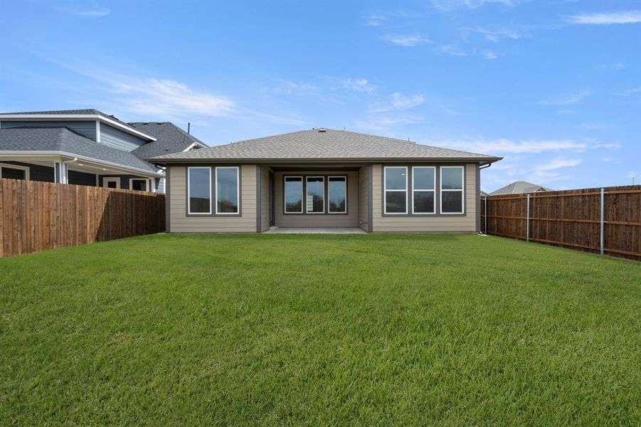 1721 Nesting Robin- Back-2