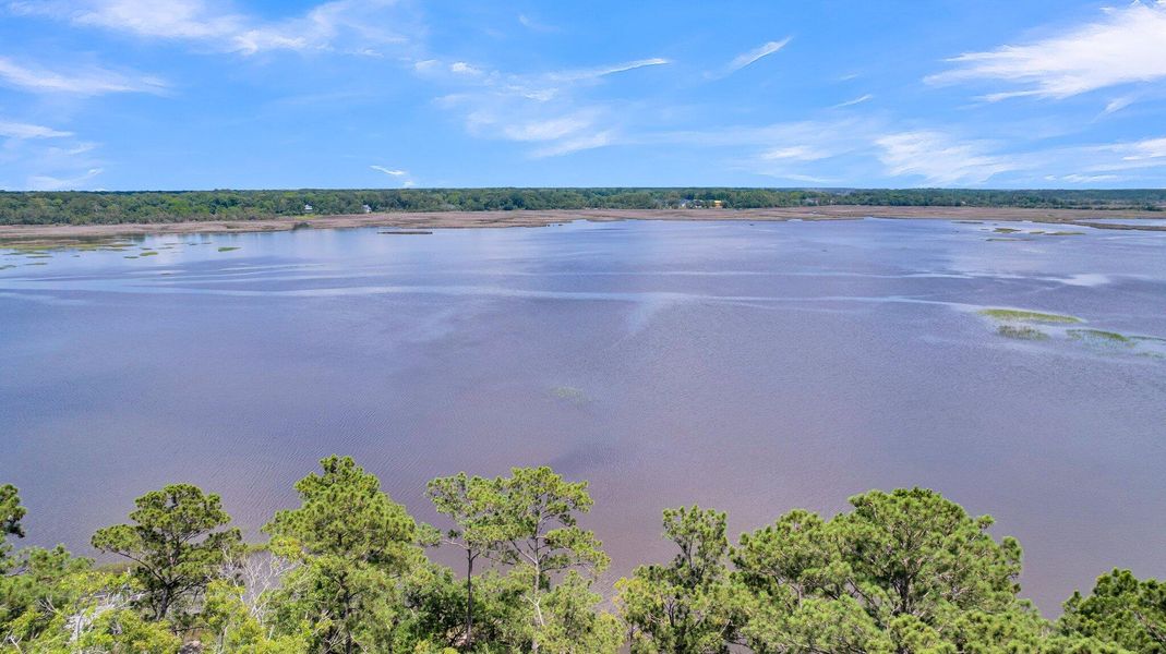 Natural landscape and outdoor views near  in Ravenel (Image 87).