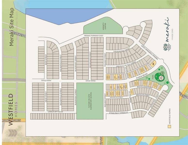 Site Map. Illustrating the property's layout, including streets, lots, and designated areas
