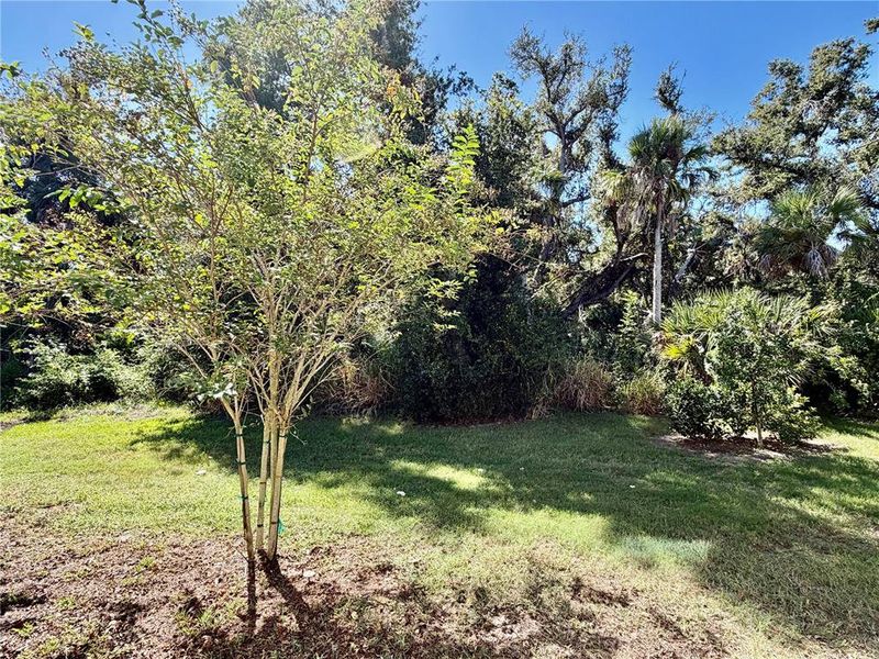 Natural landscape and outdoor views near in Nokomis (Image 50). Natural landscape and outdoor views near in Nokomis (Image 50).