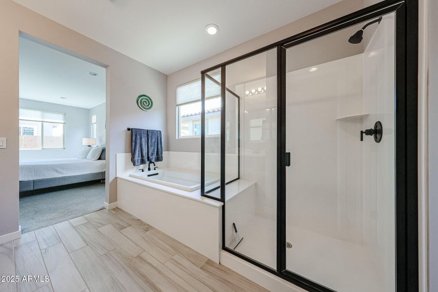 Separate Shower and Tub