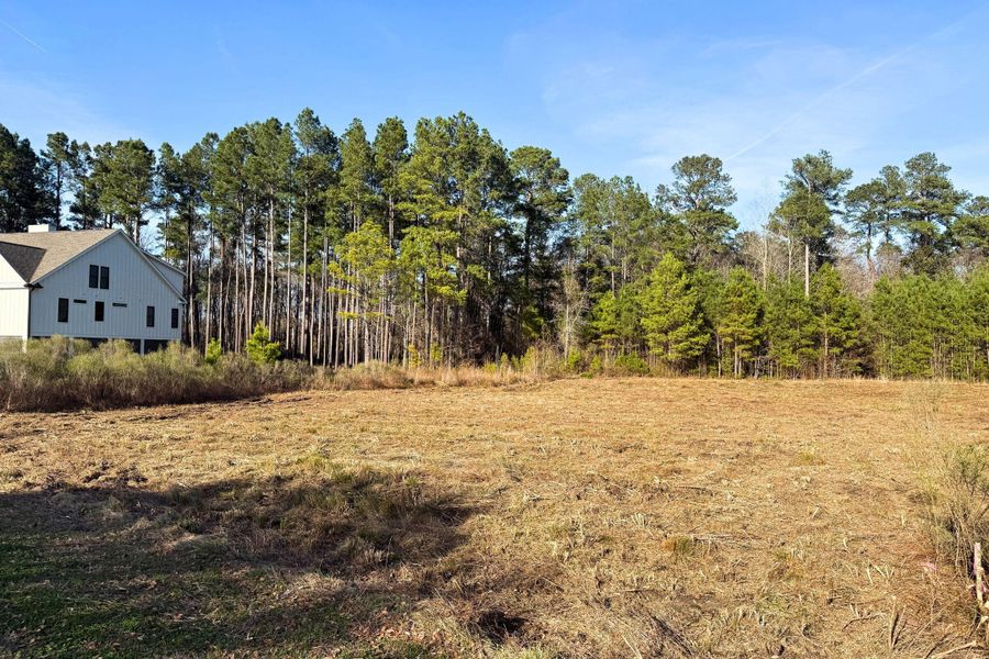 Natural landscape and outdoor views near  in Moncks Corner (Image 17).