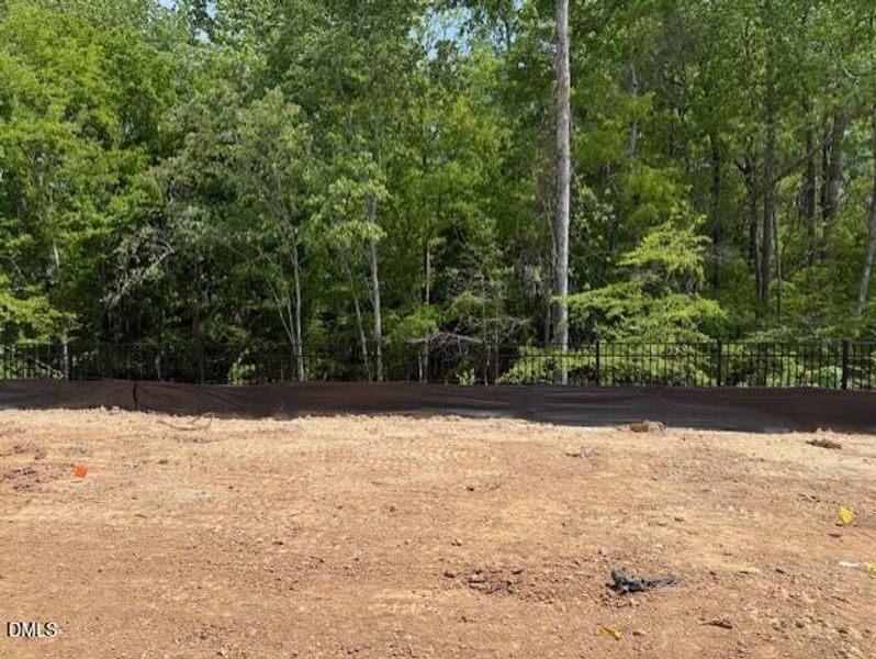 RUNTH 69 back yard