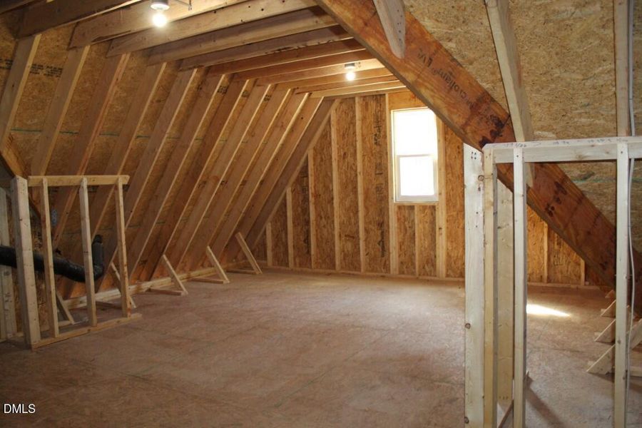 IMG_7451 (Medium) IMG_7451 (Medium)