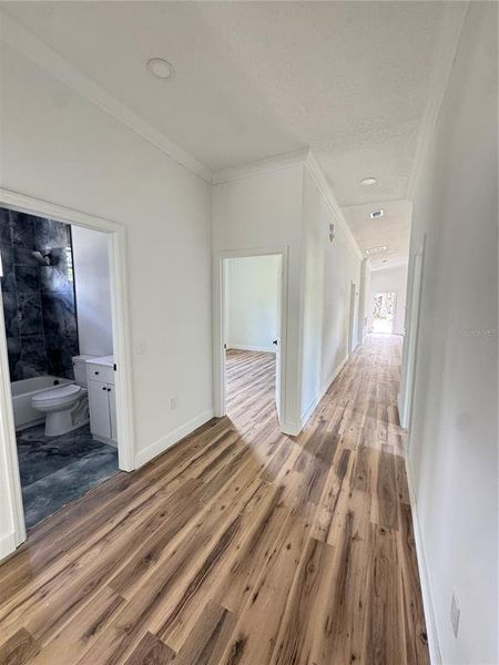 Spacious, unfurnished interior of a new home in , Safety Harbor (Image 14). Spacious, unfurnished interior of a new home in , Safety Harbor (Image 14).