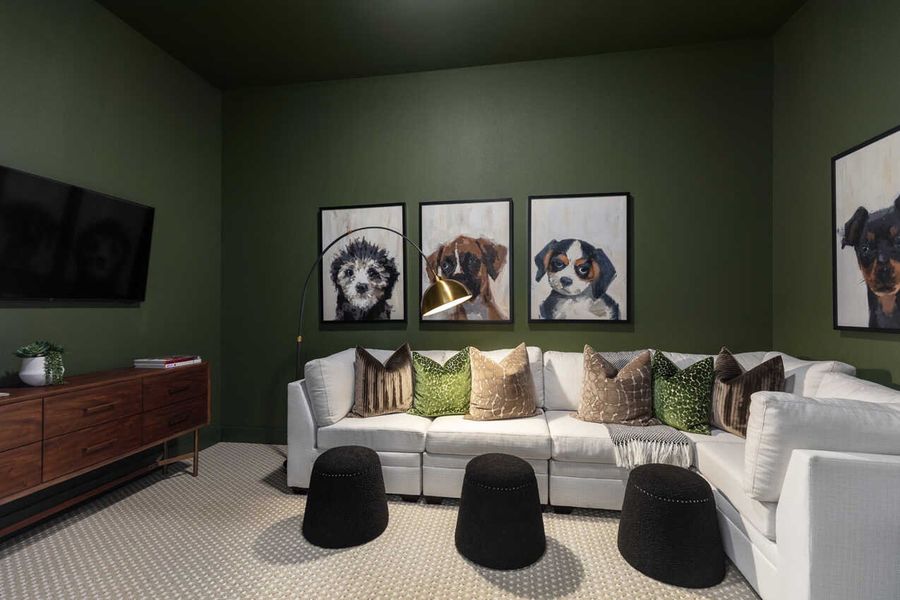 Representative Entertainment Room - some options shown