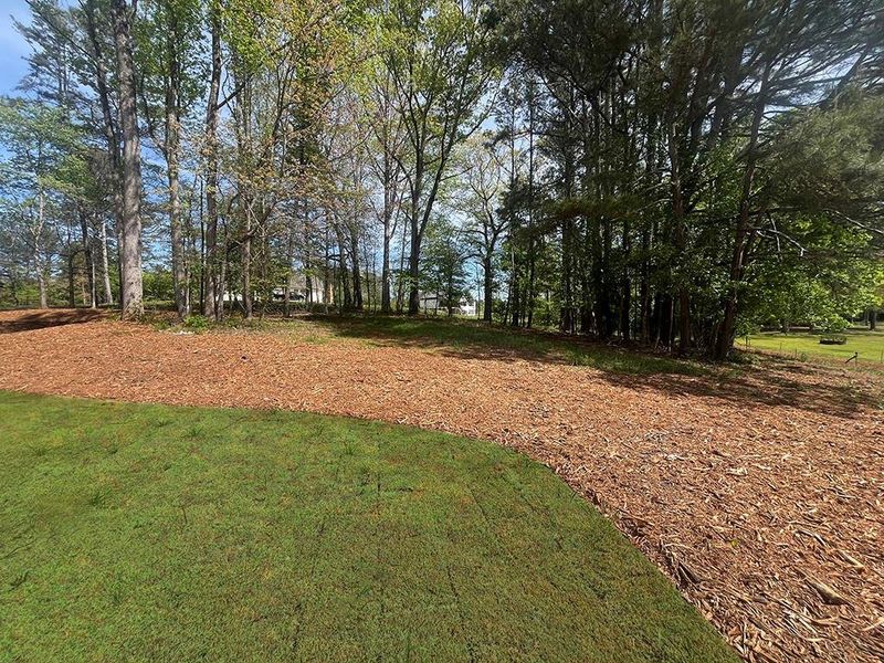 Natural landscape and outdoor views near  in Canton (Image 66).