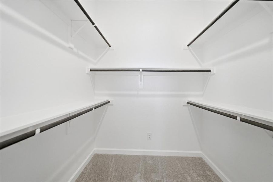 Walk-in closet featuring white walls, white shelving, dark hanging rods, light gray carpet, and white baseboards