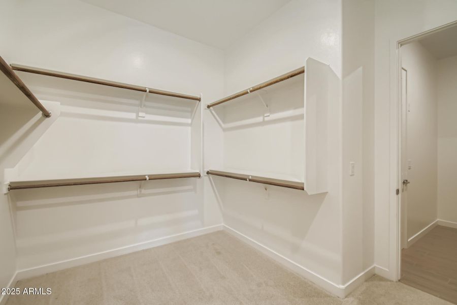 Owners Walk in Closet