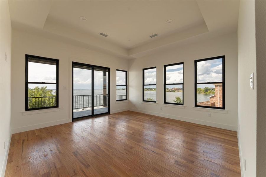 Empty room with a tray ceiling, light wood finished floors, and plenty of natural light