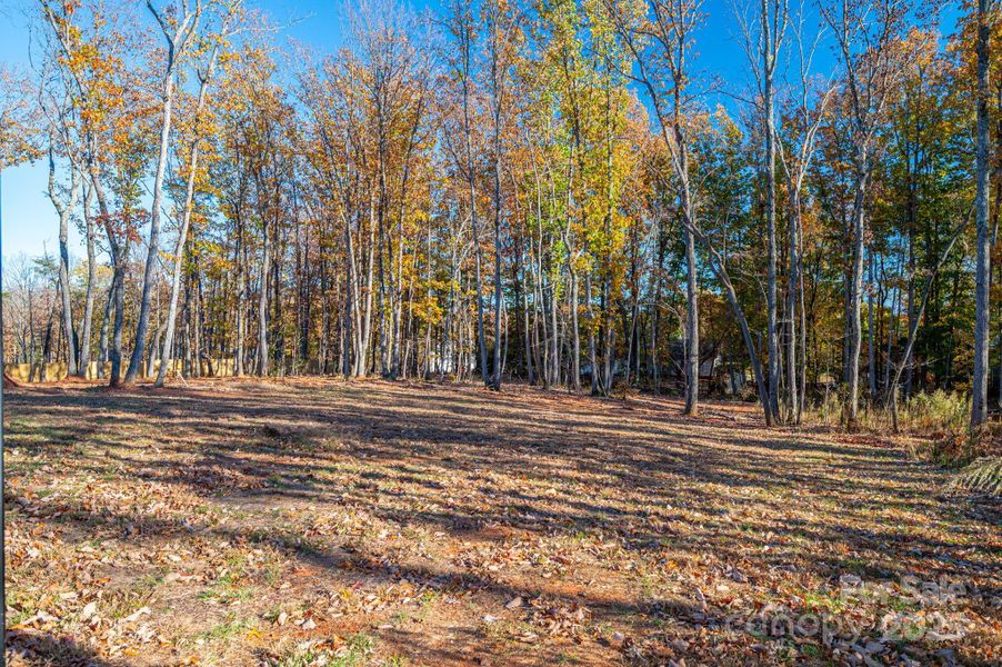 Natural landscape and outdoor views near  in Lincolnton (Image 35).