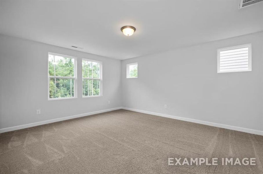 Unfurnished room featuring carpet floors, visible vents, and baseboards