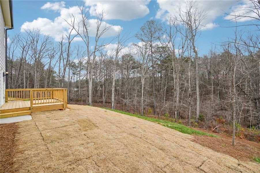Exterior details and patio area of a home in Hemingway - Reserve Series, Cumming (Image 30).