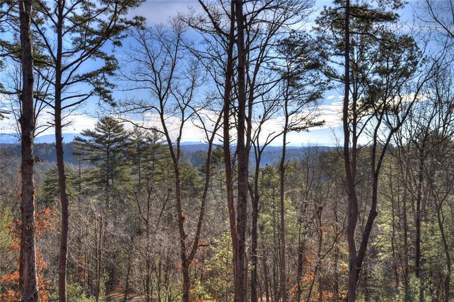 Natural landscape and outdoor views near  in Ellijay (Image 48).