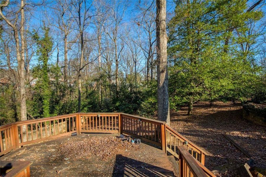 Natural landscape and outdoor views near  in Atlanta (Image 7).