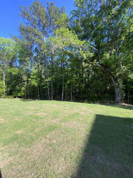 Natural landscape and outdoor views near Waterloo Estates in Johns Island (Image 32).