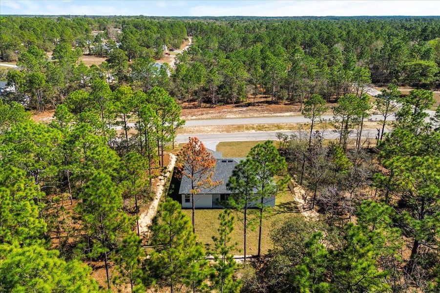 Natural landscape and outdoor views near  in Citrus Springs (Image 36).