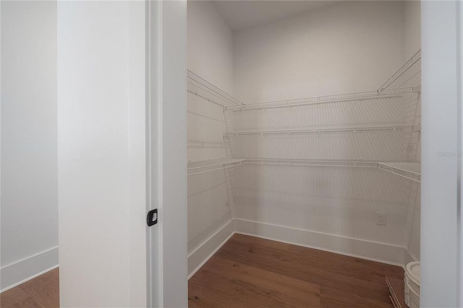 Spacious, unfurnished interior of a new home in , Tampa (Image 41).
