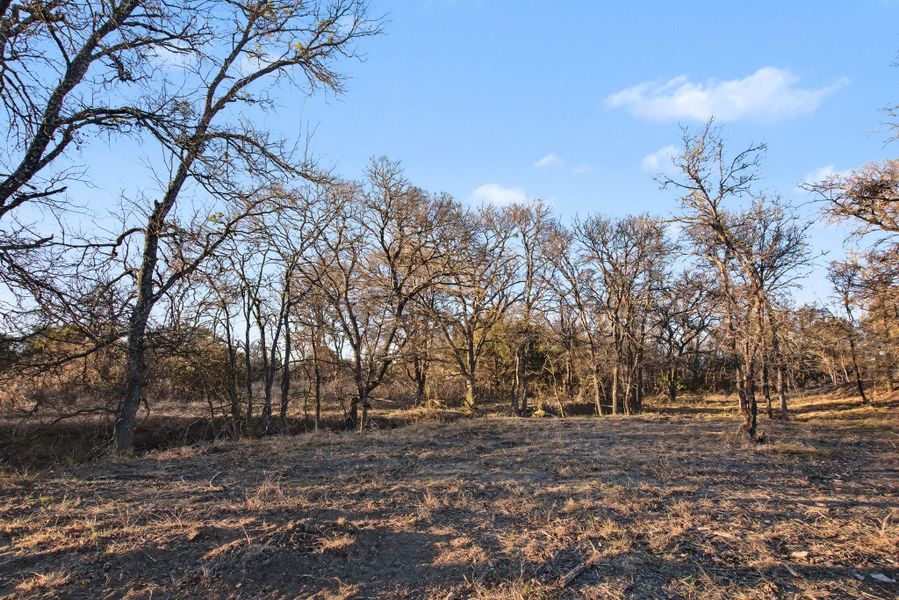 Natural landscape and outdoor views near  in Kempner (Image 29).