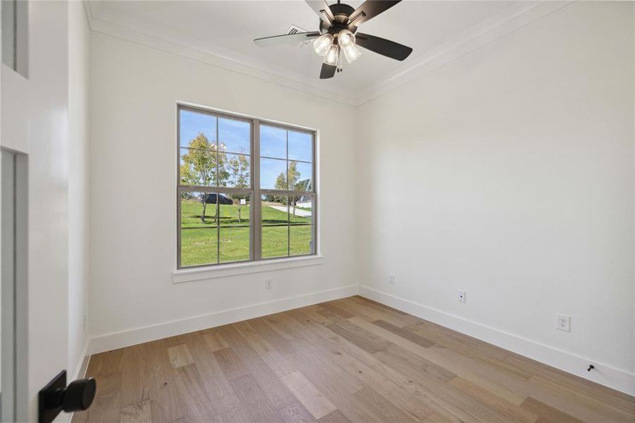 Spare room with plenty of natural light, light hardwood / wood-style floors, ornamental molding, and ceiling fan