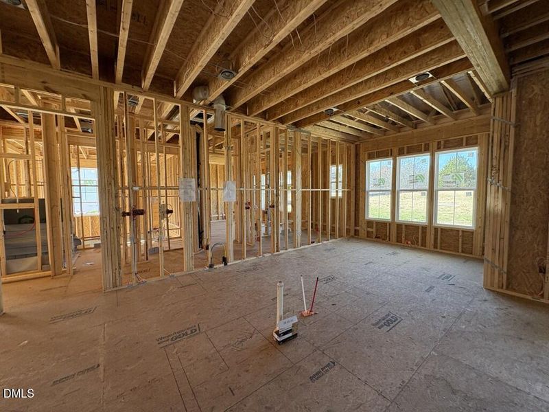 Photo Dec 01 2025, 11 38 13 AM (Medium)