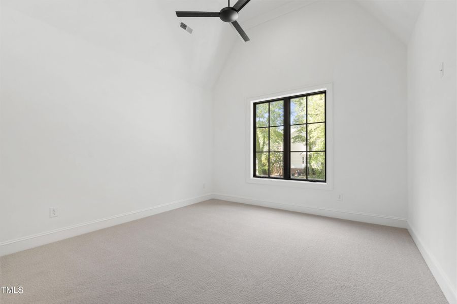 Tanbark (63) Tanbark (63)