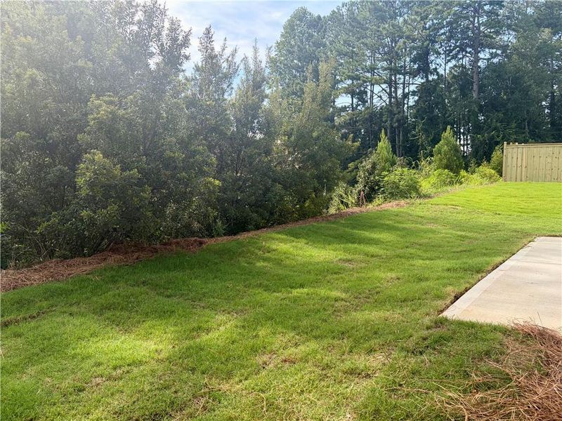 Natural landscape and outdoor views near Winsome Park in Woodstock (Image 33).