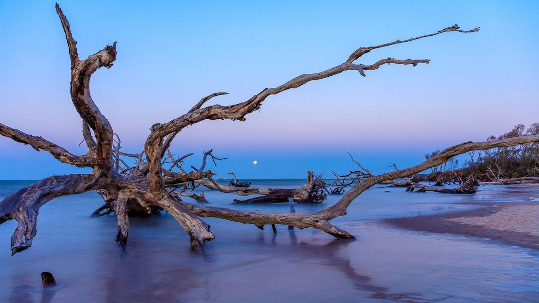 Outdoor and nature views near homes built from the Archer by D.R. Horton in Canopy Oaks, Kingsland (Image 7).