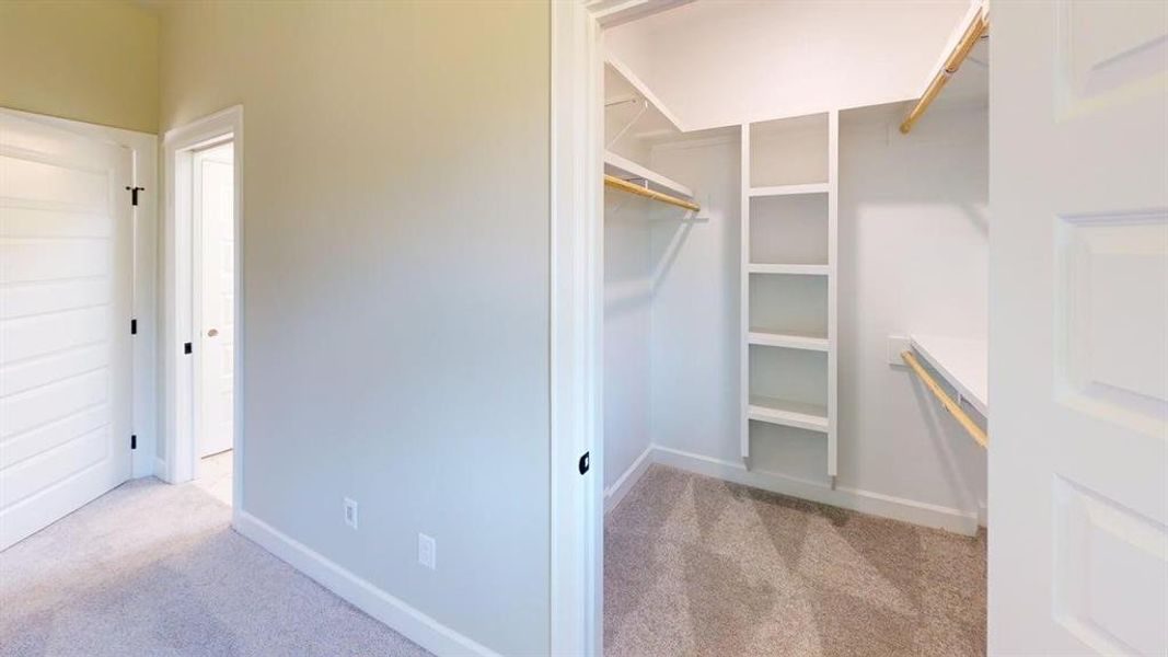 Spacious closet with carpet flooring